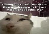 staring at a screen all day and then wondering why i have a massive headache later