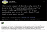Christin @hexprax Honey is vegan. I don't really care if a bee is like "where's all the honey I've been making!!?!?!?!?????!!!" they probably get over it really fast. Their brains are very small 10:51 PM - 2019-01-22 Twitter for iPhone 7,249 Retweets 527 Quote Tweets 75.4K Likes sindri42 Follow Bees choose to live in the box where they know well that a large fraction of the honey will periodically be removed, instead of simply leaving that place like they are perfectly able to do, because the human box comes with an invulnerable titan to guard them against all threats. The bees consider the payment offered to this colossal mercenary to be a pretty good deal.