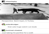 401 stepstepby Perspective. Sami Uçan, in Turkey. solardivulger that cats huge watch out dude huntrad-chadcel Just taking his panther for a walk