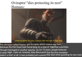 Oviraptor "dies protecting its nest" Humans: Unfortunately for you, history will not see it that way. The dinosaur called Oiaptor got its name, which means egg thief, because the first fossil was found lying on a nest of eggsthat scientists thought belonged to another species. So for 75 years, people believed it stole eggs. Later on, however, they discovered that the first overaptor wasn't a thief at all. It was probably just a parent that died while guarding its own nest.