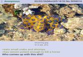 : Anonymous 02/02/26(Mon)05:18:53 No.5098016 bluering.jpg 913 KB JPG >eats small crabs and shrimps >has venom potent enough to kill a horse Who comes up with this s---?