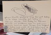 pelcan Mouth perfect size for put baby in to sleep soundly put baby in Pelican Mouth. Put Baby In Pelican Mouth. no problems ever in peliccan mouth because good Shape and Support for baby neck weak of big baby head. A pelican mouth yes a place for a baby put baby in pelican mouth can trust pelican for giving good love to baby.