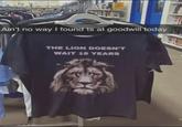 Ain't no way I found ts at goodwill today THE LION DOESN'T WAIT 18 YEARS