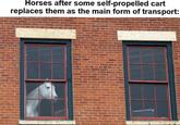 Horses after some self-propelled cart replaces them as the main form of transport: