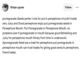 fintan-pyren Follow pomegranate Seeds perfect size for put in persephone mouth! inside very Juicy and Good persephone enjoy put pomegranate seeds in Persephone Mouth. Put Pomegranate in Persephone Mouth. no problems ever if pomegranate in mouth because good Refreshing and Juicy for persephone mouth thirsty from time in underworld. Apomegranate Seed yes a treat for persephone put pomegranate in persephone mouth can trust hades for giving good xenia to persephone. friend hades.