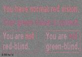 You are not red-blind. ©2009 Paul Tol You are green-blind.