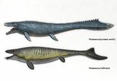 Mosasaurus(Jurassic world) Mosasaurus hoffmanni