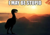 I MAY BE STUPID