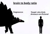 brain to body ratio Stegosaurus 'People' who think dinosaurs are fictional