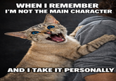 WHEN I REMEMBER I'M NOT THE MAIN CHARACTER AND I TAKE IT PERSONALLY