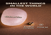 SMALLEST THINGS IN THE WORLD Grain of rice X Smallest CLOSE AD computer