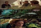 Your mother had gone out early, like she always did, to pick mushrooms that grow on the vaporatos Mushrooms! u/Rithrius1