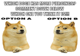 WHICH DOGE HAS MORE PIERCINGS? COMMENT DOWN BELOW WHICH ONE YOU THINK IT IS!!! OPTION A OPTION B