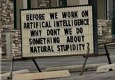 BEFORE WE WORK ON ARTIFICAL INTELLIGENCE WHY DONT WE DO SOMETHING ABOUT NATURAL STUPIDITY ?