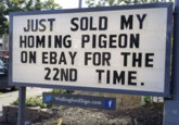 SEAT JUST SOLD MY HOMING PIGEON ON EBAY FOR THE 22ND TIME. WallingfordSign.com f