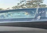 ETOYOGUARD TOYOTA