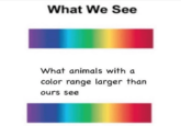 What We See What animals with a color range larger than ours see