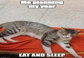 Me planning my year EAT AND SLEEP imgflip.com