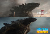 ゴ GODZILLA S GODZILLA VS.I KONG