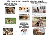 Having a pet beagle starter pack 50% of the time you'll see at least one of their ears folded back Whimpers when you leave the room for 10 seconds bleed) Howls at everything (bonus points if it makes your ears UWW Sniffs EVERYTHING Sheds a ton of fur Despite that, they're still surprisingly friendly (usually all bark no bite) Either very lazy Straight up Tasmanian devil (despite eating so much) Either way they're still stubborn asf Likely at LEAST overweight, if not obese or