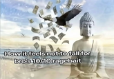 How it feels not to fall for bro's 10/10 ragebait