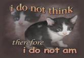 i do not think therefore i do not am