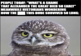 PEOPLE TODAY: "WHAT'S A SHAME THAT ALEXANDER THE GREAT DIED SO EARLY" MEANWHILE HISTORIANS WONDERING HOW THE THIS DUDE SURVIVED SO LONG: imgflip.com