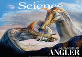 19 FEBRUARY 2026 Mysterious livestock flu could spell trouble p. 758 Respiratory pathogens beat mucus flow pp. 766 & 825 Accurate single- molecule vibrational picture p. 807 NAAAS Science AUDACIOUS ANGLER Tall-crested Spinosaurus species discovered in the Sahara p. 782