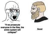 "If we prosecute everyone in the files, the entire system will collapse!" Good