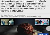 Scientists grow mammoth flesh in a lab to make a prehistoric meatball - but they're too afraid to eat it in case ancient protein proves DEADLY By Sam Tonkin For Mailonline 06:22 EDT 28 Mar 2023, updated 07:09 EDT 28 Mar 2023 CREA do +11