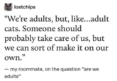 lostchips "We're adults, but, like...adult cats. Someone should probably take care of us, but we can sort of make it on our own." - my roommate, on the question "are we adults"