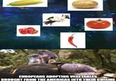 EUROPEANS ADOPTING VEGETABLES BROUGHT FROM THE AMERICAS INTO THEIR CUISINE