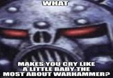 WHAT MAKES YOU CRY LIKE A LITTLE BABY THE MOST ABOUT WARHAMMER? imgflip.com