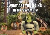 BEWARE OGRE WHAT ARE YOU DOING IN MY SWAMP!? dogemuchwow.com 181
