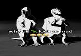 why dis look so mad