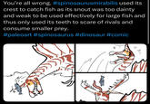 You're all wrong. #spinosaurusmirabilis used its crest to catch fish as its snout was too dainty and weak to be used effectively for large fish and thus only used its teeth to scare of rivals and consume smaller prey. #paleoart #spinosaurus #dinosaur #comic дла лл