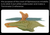 the purpose of the crest of Spinosaurus mirabilis is to stick it out while underwater and make a Terminator 2 reference