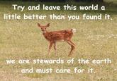 Try and leave this world a little better than you found it, we are stewards of the earth and must care for it.