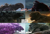 WING MONG CODZILLA VS. GODZILLA KONG GODZILLA KONG THE NEW EMPIRE