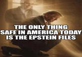 THE ONLY THING SAFE IN AMERICA TODAY IS THE EPSTEIN FILES