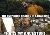 THE ONLY GOOD DRAGON IS A DEAD ONE imgflip.com THAT'S MY ANCESTOR!