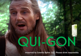 QUI-GON Imported by Corellia Spirts, LLC. Please drink responsibly