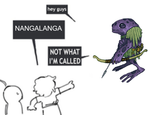 hey guys NANGALANGA NOT WHAT I'M CALLED