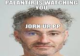 PALANTIR IS WATCHING YOU JORK UR PP