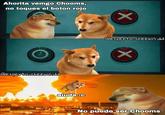 Ahorita vemgo Chooms, no toques el boton rojo @experto cheemsidd X @experto cheems.dd ajuda :c X No puede ser Chooms