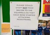 lusive, safe, PLEASE COULD STAFF NOT FEED BACON TO THE SQUIRRELS AS THEY HAVE NOW STARTED ATTACKING PEDESTRIANS. ONE VOIC 1. FAITI 2. ELECT 1.BAMI 4. POST MAKE & IMPRI 7.SUPP TRADE ELECTIONS THANK YOU ties today and this be