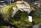 X GRASS FLIP FLOPS grown in CALIFORNIA ww.assflipflops. reen $5 to 7 GRA P FLOPS