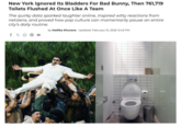 New York Ignored Its Bladders For Bad Bunny, Then 761,719 Toilets Flushed At Once Like A Team The quirky data sparked laughter online, inspired witty reactions from netizens, and proved how pop culture can momentarily pause an entire city's daily routine. f X by Mallika Khurana Updated: February 10, 2026 12:43 PM 10