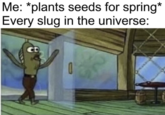 Me: *plants seeds for spring* Every slug in the universe: CD