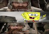 Never thought I'd die fighting side by side with an Elf. What about side by side with a Sponge? Aye Aye Captain. imgflip.com